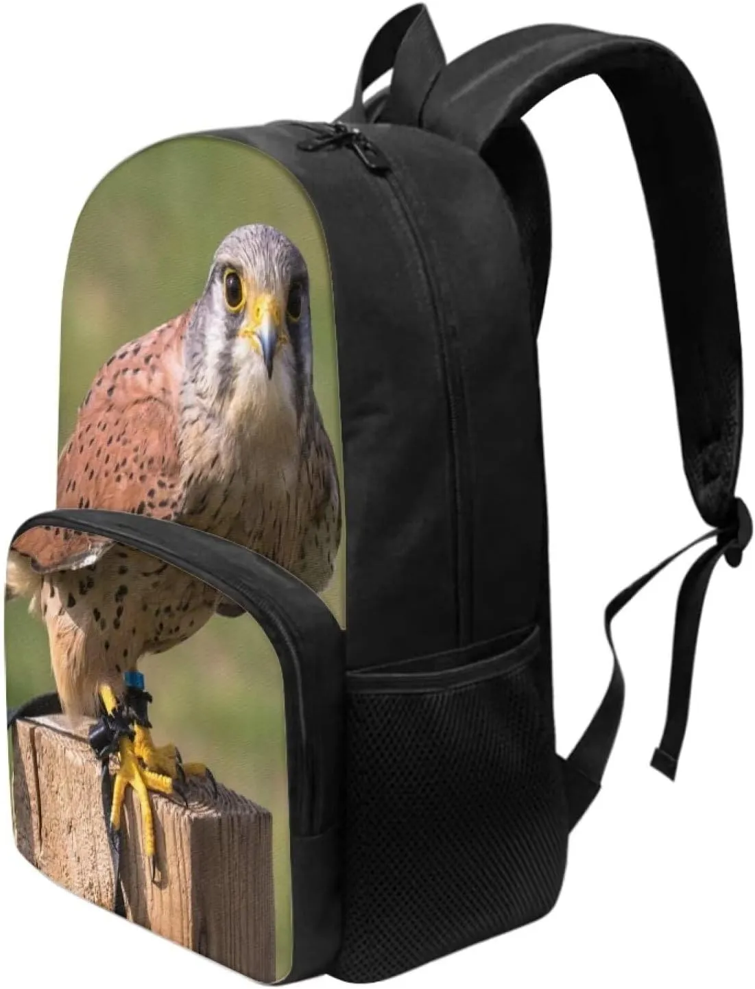 Kids Funny Animal Kestrel Backpack for Boys Girls Comfy Padded Lightweight Sturdy Student School Backpack with Front Pocket Double Zipper 17 Inch Kids Basic Black Daypack Bookbag
