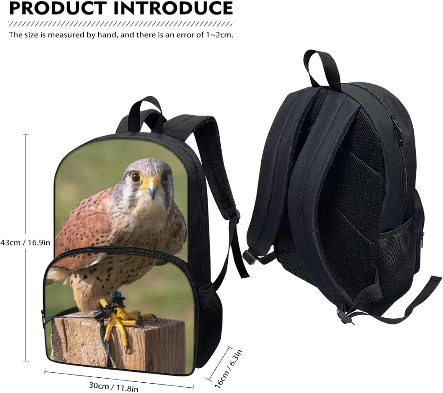 Kids Funny Animal Kestrel Backpack for Boys Girls Comfy Padded Lightweight Sturdy Student School Backpack with Front Pocket Double Zipper 17 Inch Kids Basic Black Daypack Bookbag