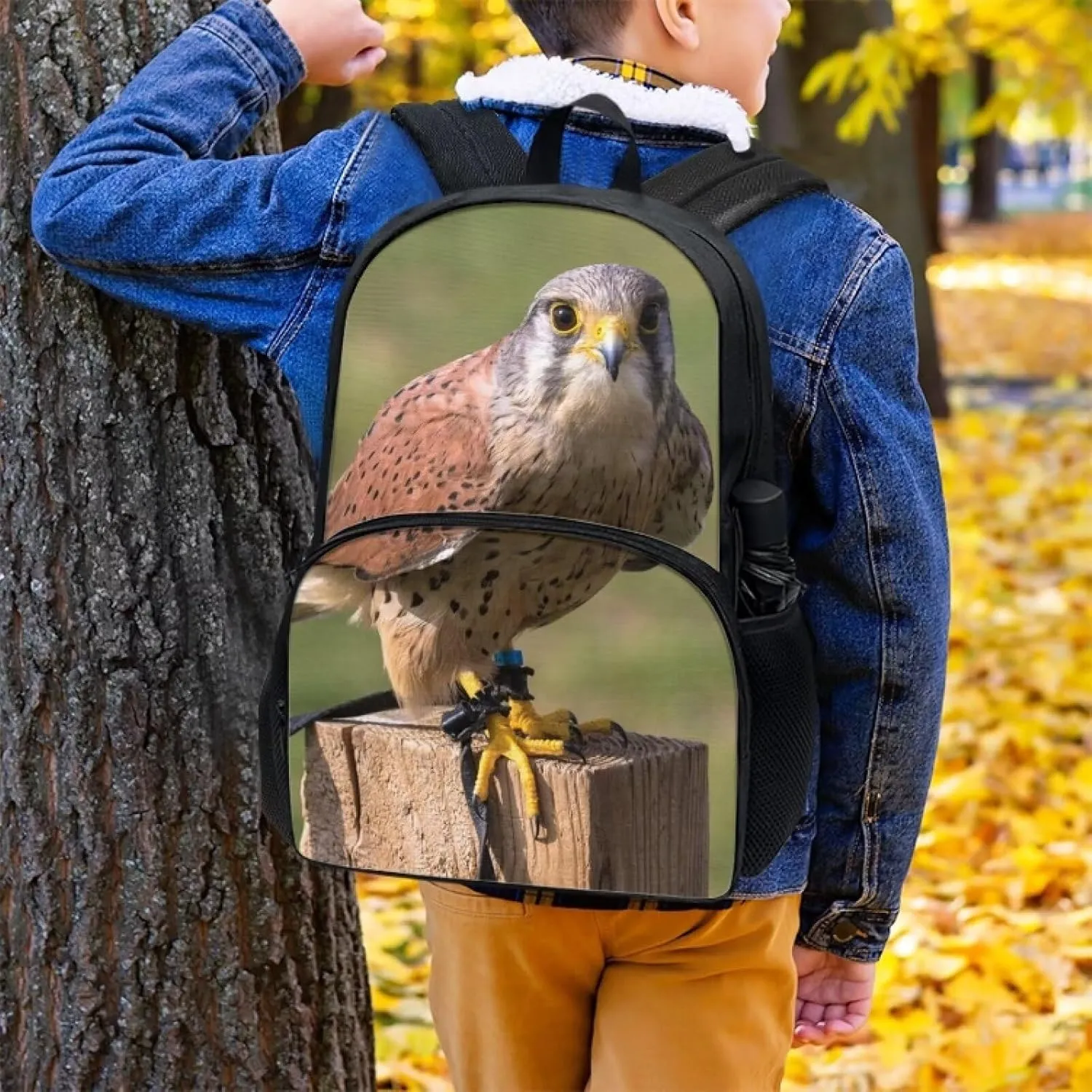 Kids Funny Animal Kestrel Backpack for Boys Girls Comfy Padded Lightweight Sturdy Student School Backpack with Front Pocket Double Zipper 17 Inch Kids Basic Black Daypack Bookbag
