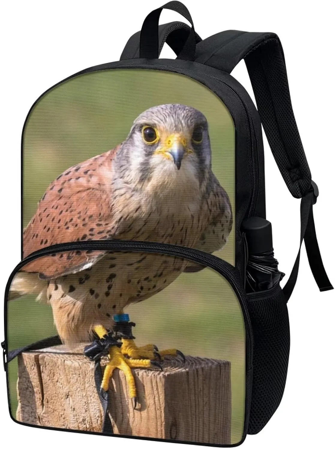 Kids Funny Animal Kestrel Backpack for Boys Girls Comfy Padded Lightweight Sturdy Student School Backpack with Front Pocket Double Zipper 17 Inch Kids Basic Black Daypack Bookbag