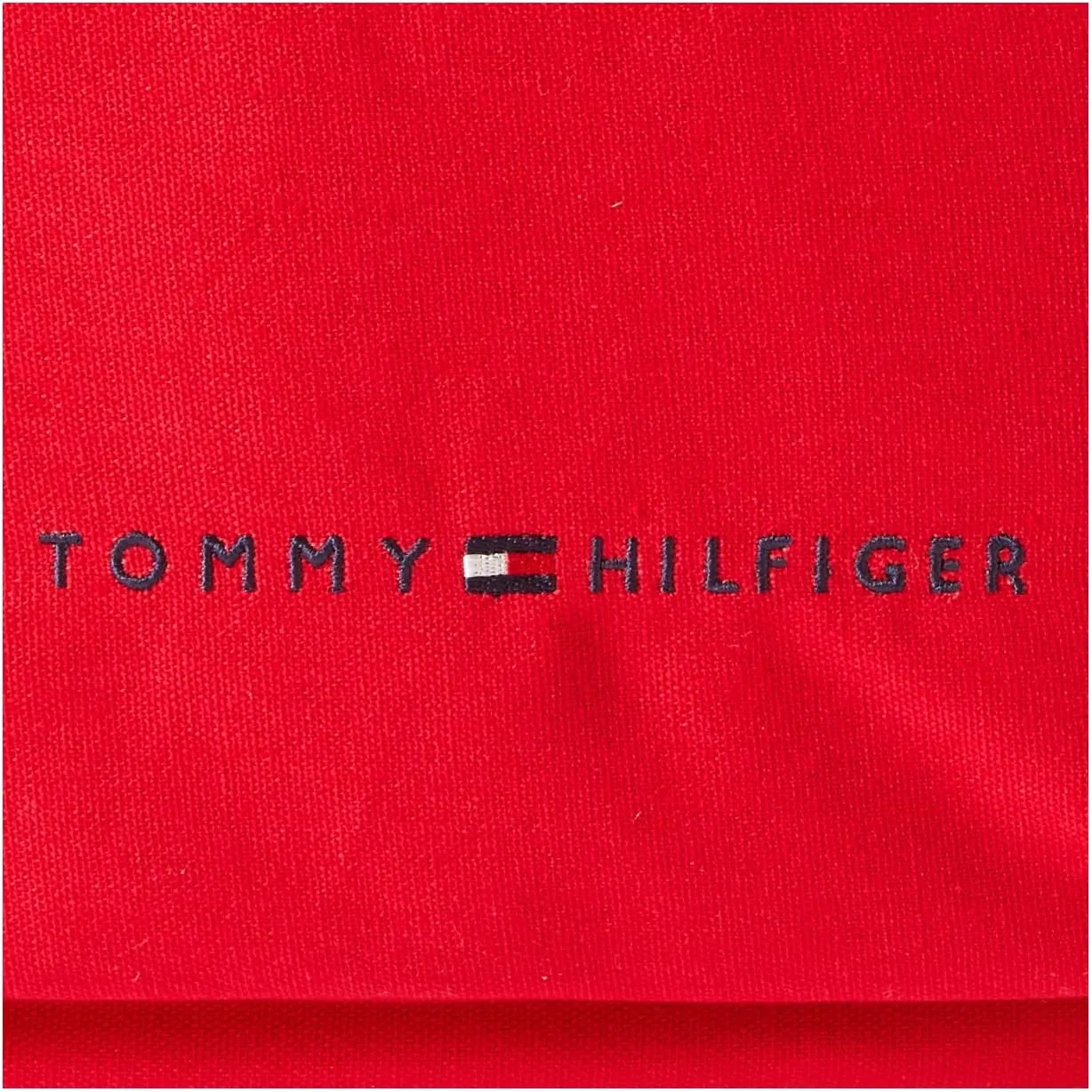 Tommy Hilfiger Men's Jackson Canvas Backpack